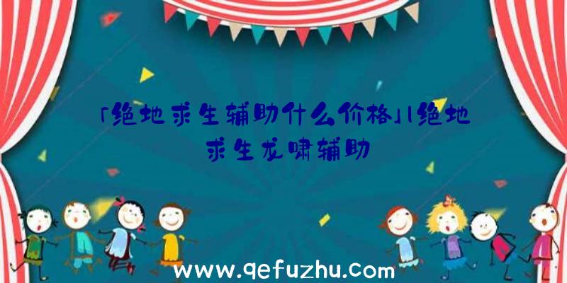 「绝地求生辅助什么价格」|绝地求生龙啸辅助